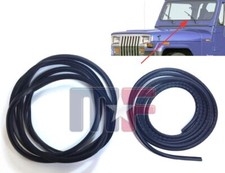 Scheibendichtgummi m. Zierleiste 1987-95 Jeep Wrangler YJ Frontscheibendichtung