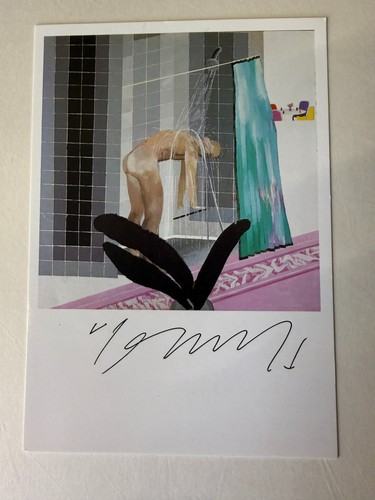 David hockney künstler - david,