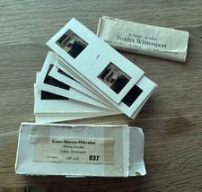 Bildkarten- Mikrolux / " Teddys Wintersport" 