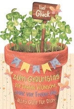 Geburtstag Green Line Laser