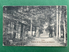 AK Vietz Witnica, Woiwodschaft Lebus Waldweg Dolgensee Polen 1917 #1764