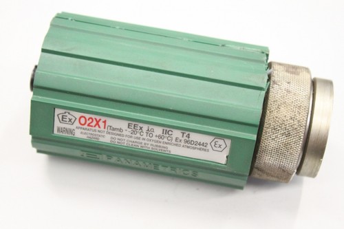Panametrics 02x1 eex iic - panametrics, is