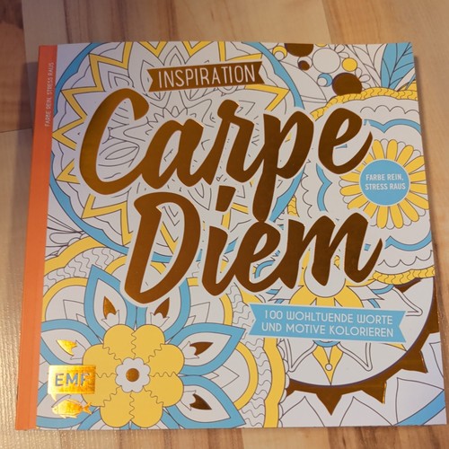 Inspiration carpe diem - inspiration, 100