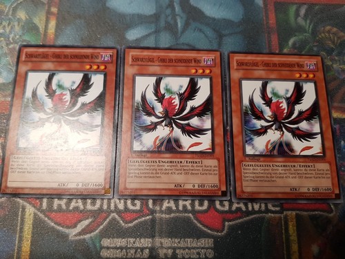 3 schwarzflügel - yu-gi-oh!, ×