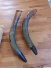 Rinderhorn, Natur, Trinkhorn, Methorn, Wikinger