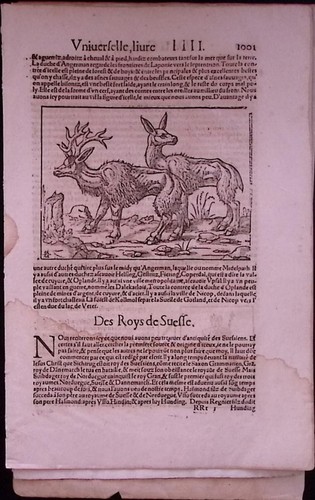 Sebastian münster - sebastian,