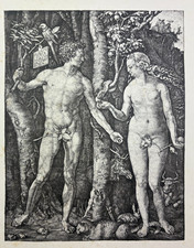 Dürer, Adam und Eva, Lichtdruck um 1900 