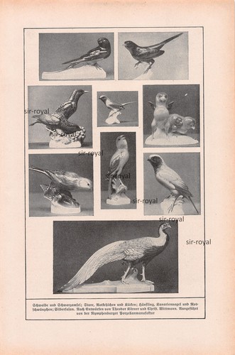 Vögel der nymphenburger - vögel,