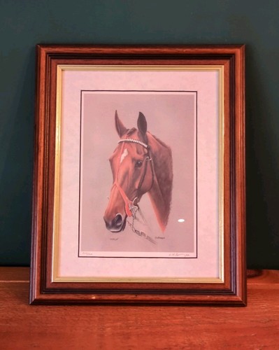 Mysilv equine portrait - mysilv,