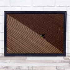 Pflugfeld Einsamkeit Traktor