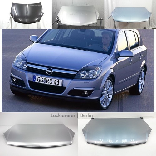 Motorhaube lackiert - lackiert, in