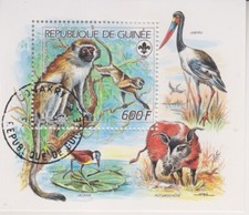 Wildtiere Meerkatze Guinea gestempelt 7557