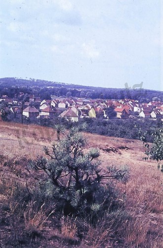 Dia abzug foto - caputh, /