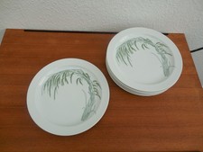 Rosenthal Duo Indian Rice 6