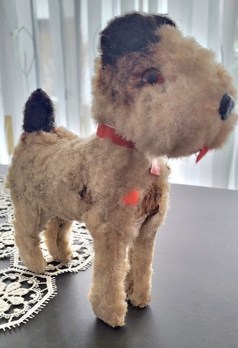 Antiker foxterrier hund - foxterrier,