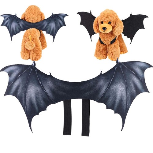 Halloween fledermausflügel - halloween,
