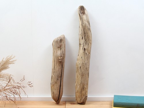 Treibholz 63cm dicke deko - 45-63cm,,