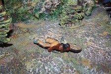 ddr masse indianer nr18