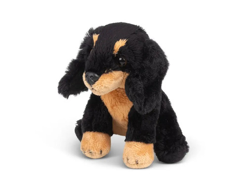 5038728155882 mini jamnik - 5038728155882,