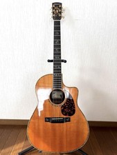 Akustikgitarre larrivee - akustikgitarre,