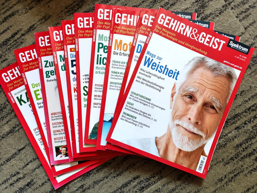 Gehirn geist der - gehirn,
