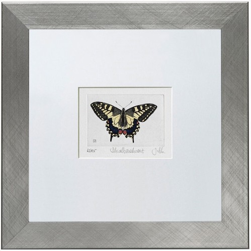 Schwalbenschwanz papilio - schwalbenschwanz,,
