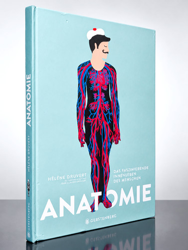 Anatomie hélène druvert - anatomie,