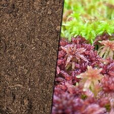 (1,08€/l) 2,5 Liter Torf