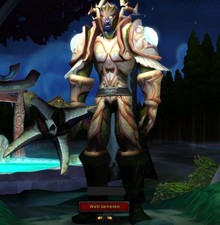 Lösungsbuch WoW Anniversary