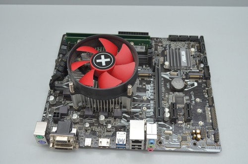 Asus prime b250m - asus, bundle