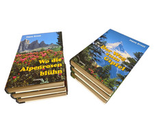 HANS ERNST Bücher HEIMATROMANE Bergromane 6 Romane Romanhefte Berge Heimat