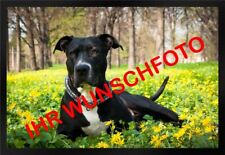 Fußmatte Schmutzfangmatte Ihr Wunschfoto Ihr Text personalisiert F588