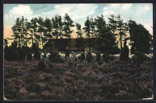 Ansichtskarte Habighorst