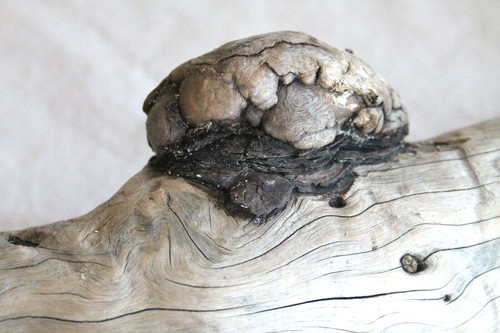 Schwemmholz treibholz skulptur - treibholz,