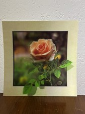 3D Effekt Bild Wandbild Rose Rahmenoptik Druck Kunst Leinwand Deko Zara Depot