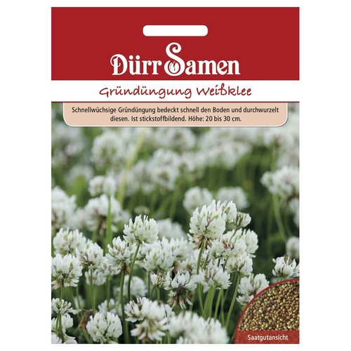 Dürr samen saatgut - samen,