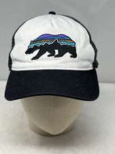 Patagonia Fitz Roy Bear Hat
