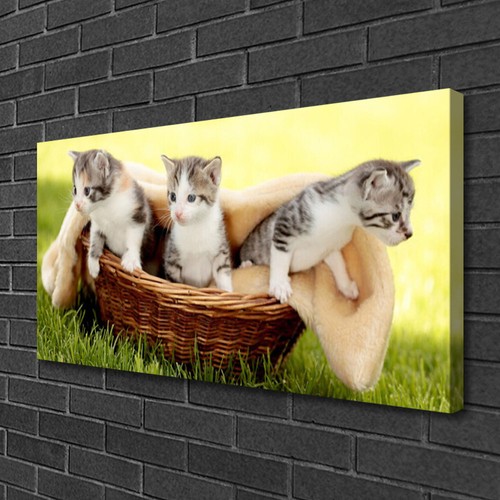 Leinwand bilder 100x50 - leinwand-bilder,