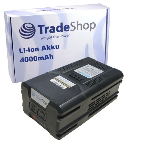 Ion akku 80v 4000mah - li-ion,