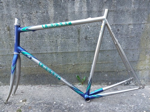 Francesco moser leader - francesco, ax
