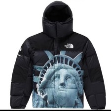 Supreme x The North Face