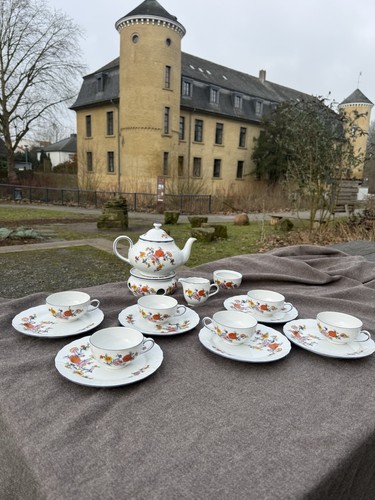 Winterling porzellan service - winterling,