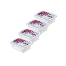 Rotho gefrierdosen set domino - rotho,