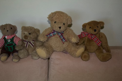 Teddy bär konvolut - bär,