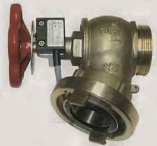 Schlauchanschlussventil Grenztaster C 2“ Storzkupplung DIN 14461 Wandhydrant 