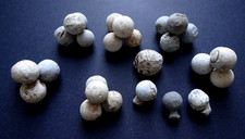 Vorderladerkugeln Musketenkugeln Blei 18.Jh.. Napoleon  7-jähriger Krieg 28 St.