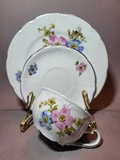 Sammeltasse, Triptis VEB