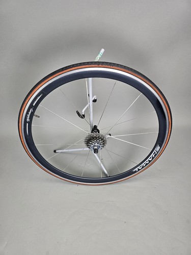 Laurad felge hinten campagnolo - laurad,