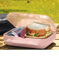 tupperware lunchbox to go
