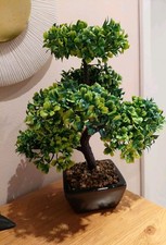 Bonsai Bäumchen Kunstpflanze